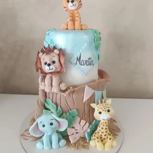 tarta-fondant-para-ponferrada-libro-selva